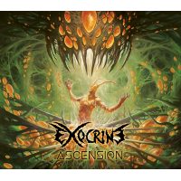 EXOCRINE