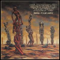 EXTREME DECAY