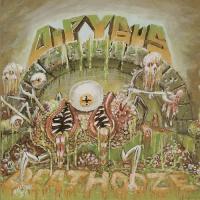 DIPYGUS