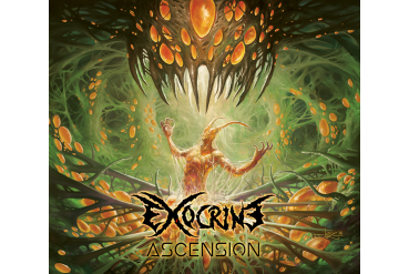 EXOCRINE