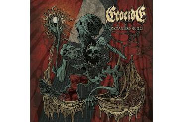 ECOCIDE