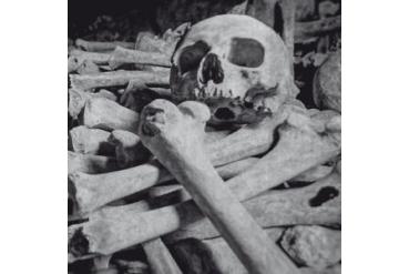 ENCOFFINATION